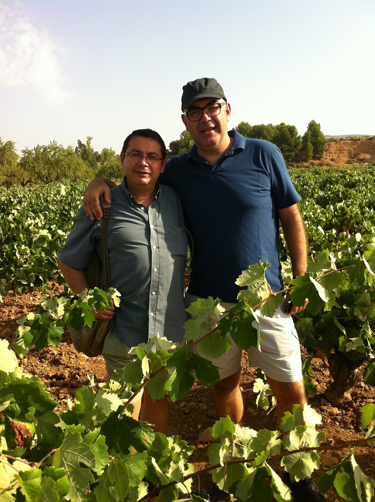 Mustiguillo singularwine proyecto verema